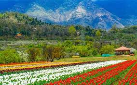 Kashmir Paradise Retreat